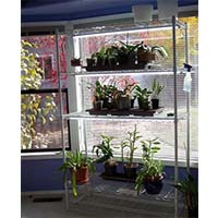 溫室大棚園藝栽培架_園林植物培育架_可調節層距樹苗花架