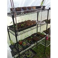 溫室大棚園藝栽培架_園林植物培育架_可調節層距樹苗花架（2）