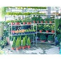 花草植物種植儲物架，立體種植貨架，園藝盆栽置物架（2）