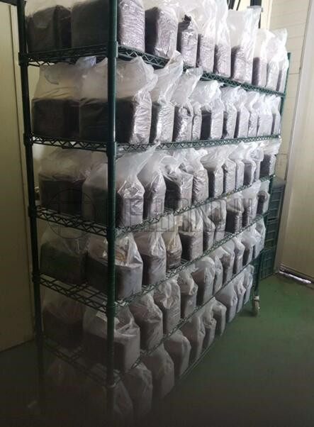 川井牌農業種植架蘑菇培植層架溫室養殖苗子多層控溫層架-川井