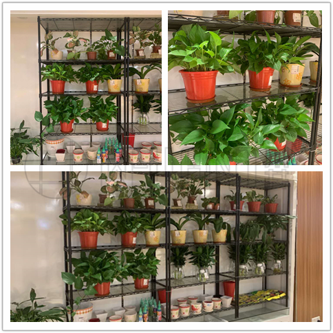 商超花架展示花場展示架鐵藝花架金屬花架-川井