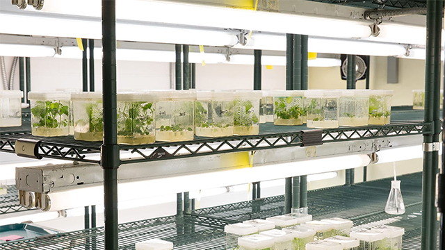 生物研究所金屬收納置物架-川井 (2)