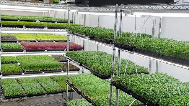 花場園藝場,花店,立體種植場,培植機構(gòu)置物收納層架-川井