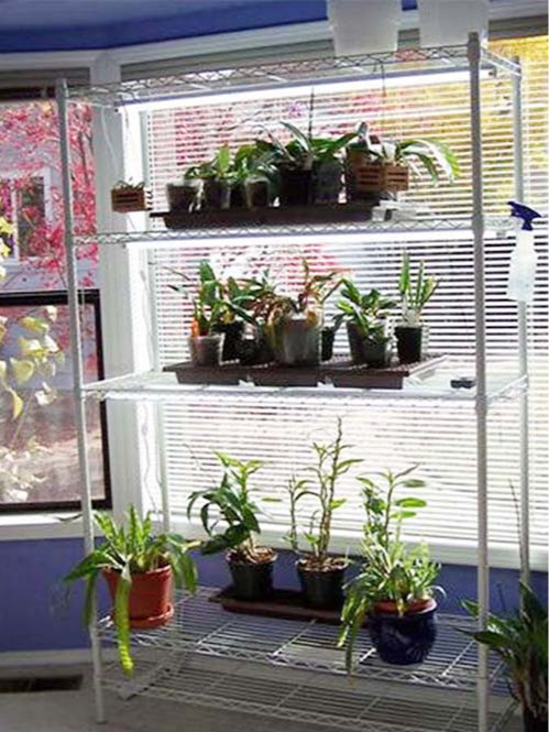 DIY多層園藝培育種植線網貨架