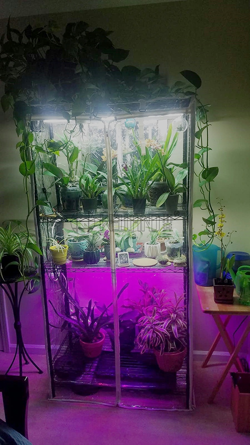 實用家用室內溫室小苗置物金屬花架 線網鍍鉻 不銹鋼架買家分享帖-川井